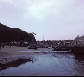 1981