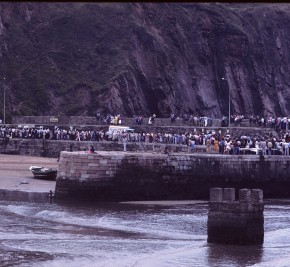1981