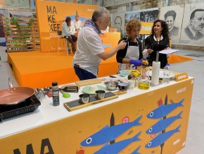 primer concurso amateur makexef